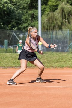 Bild 516 - Klippeldon